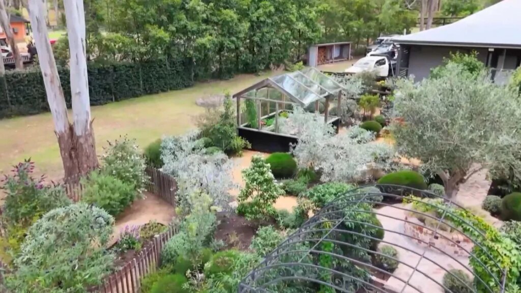 Garden tour: this small Hawkesbury garden feels bigger than it is Garden tour: this small Hawkesbury garden feels bigger than it is