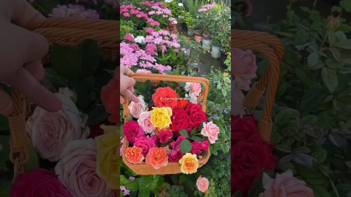 My Sweet Garden Vibes 🌹🌿 DIY Garden Decor Trends 🪴#gardening #plants #flower #nature #asmr #short