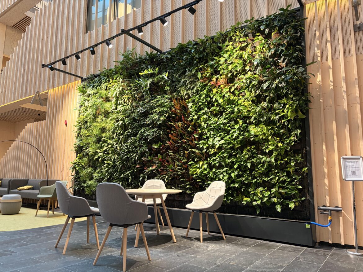 This wall of plants in the MRI waiting room.