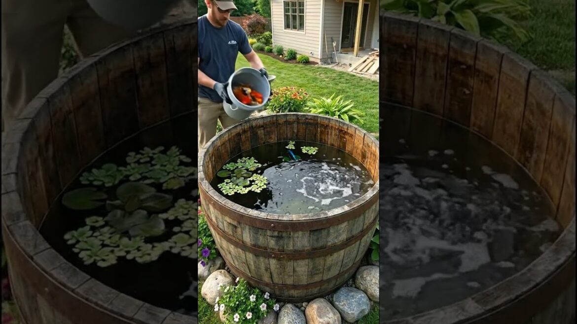 DIY Whiskey Barrel Koi Pond Transformation!