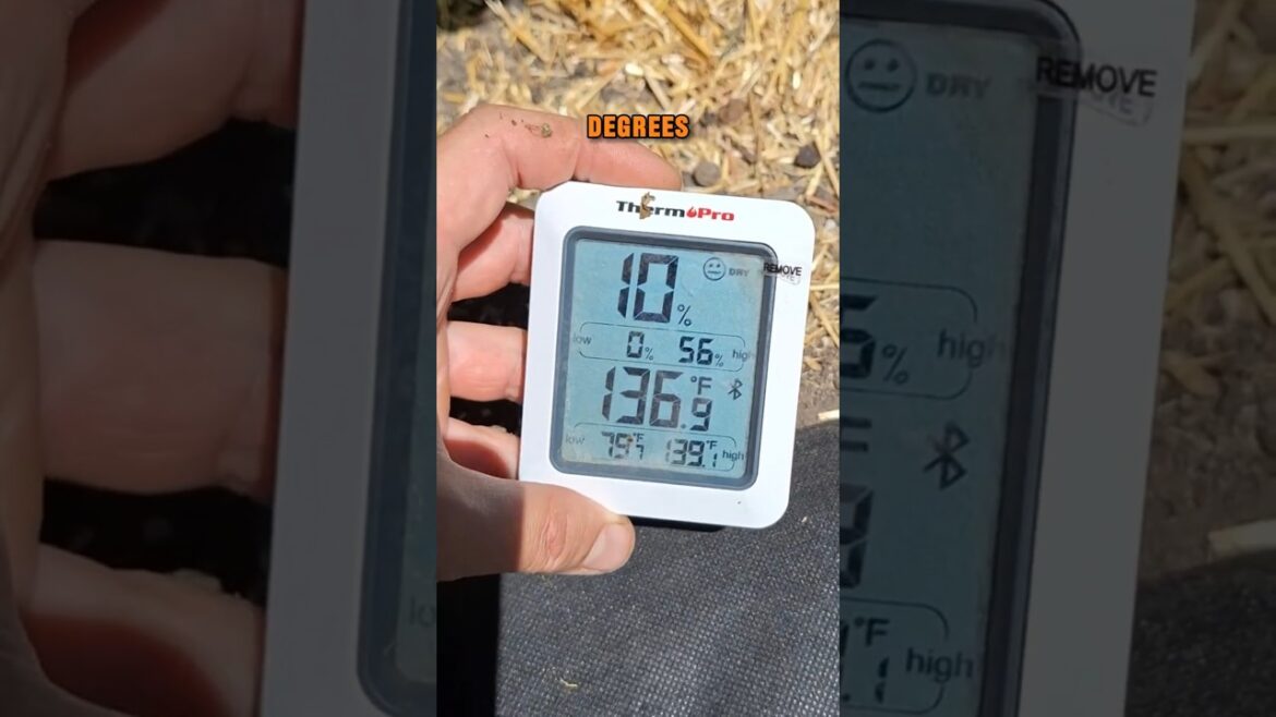 Don’t Let Heat Kill Your Garden! 3 Pro Tips 🌿🔥 #shorts   #heatproofgarden #gardeningtips #gardening