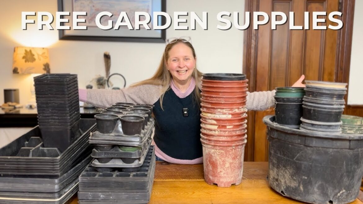 Free Garden Supply Haul | Seed Starting on a Budget