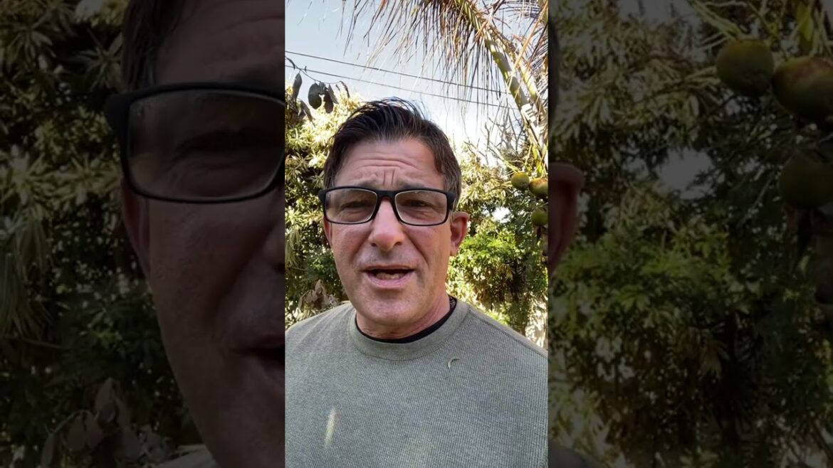 I MUST HAVE COCONUTS!  #fruitbearingplants #fruitplants #garden #gardening #fruittrees