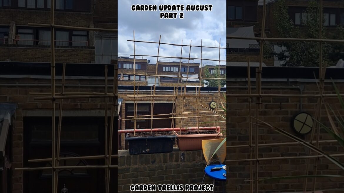 Garden Update August Part 2 / Garden trellis #balconygarden #gardenplans #gardening #balconymakeover