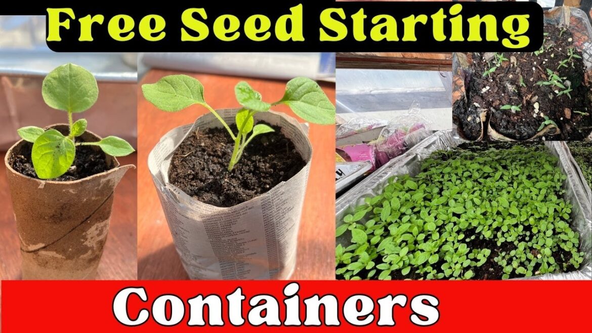 Free Seed Starting Supplies – Recycling items for Starting Seeds and What to Use Free Seed Starting Supplies - Recycling items for Starting Seeds and What to Use