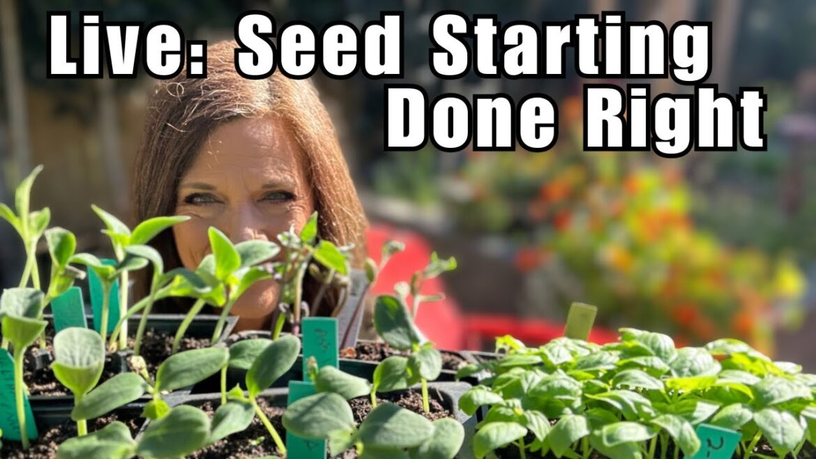 CaliKim: LIVE: Seed Starting Done Right — Before You Fall Behind LIVE: Seed Starting Done Right — Before You Fall Behind