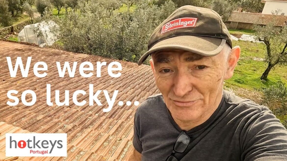 Storm KRISTIN batters Portugal - recovery and new garden plans EP115