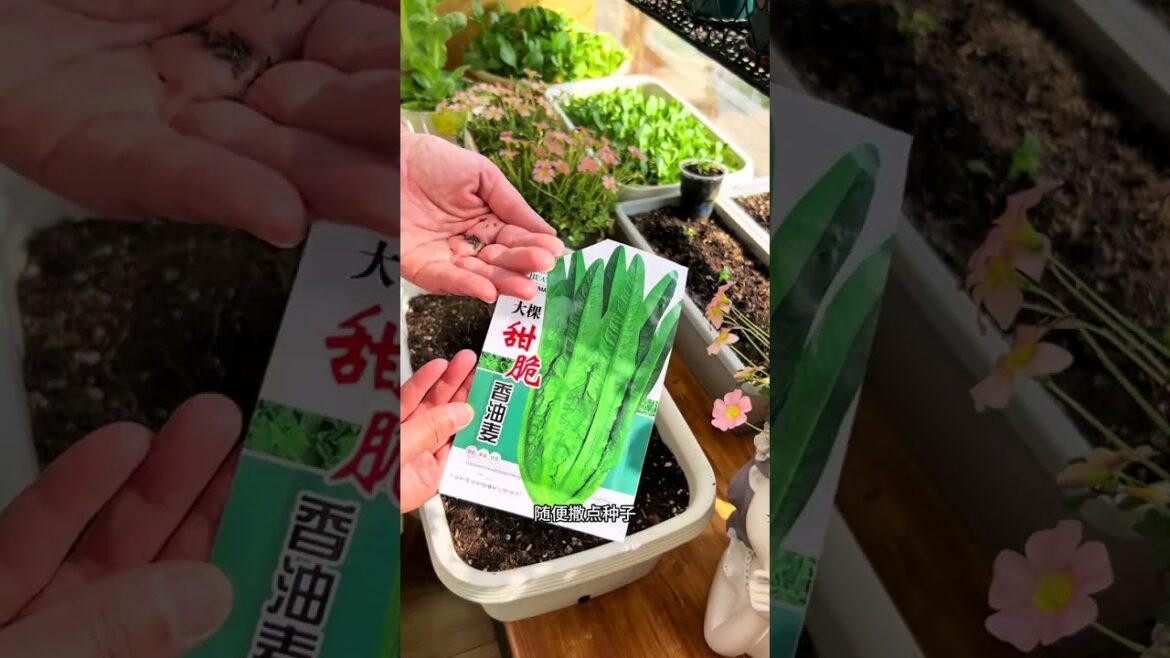 DIY Mini Vegetable Seedlings: Easy, Affordable & Fun