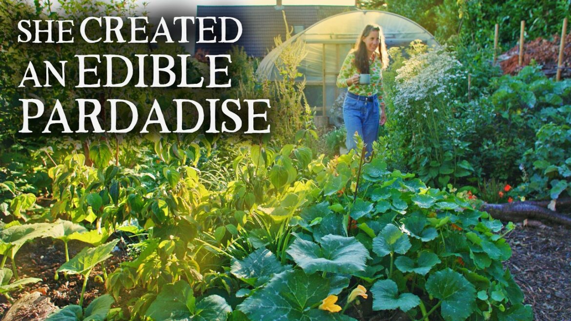 From a Scrappy Backyard to a THRIVING Permaculture Kitchen Garden