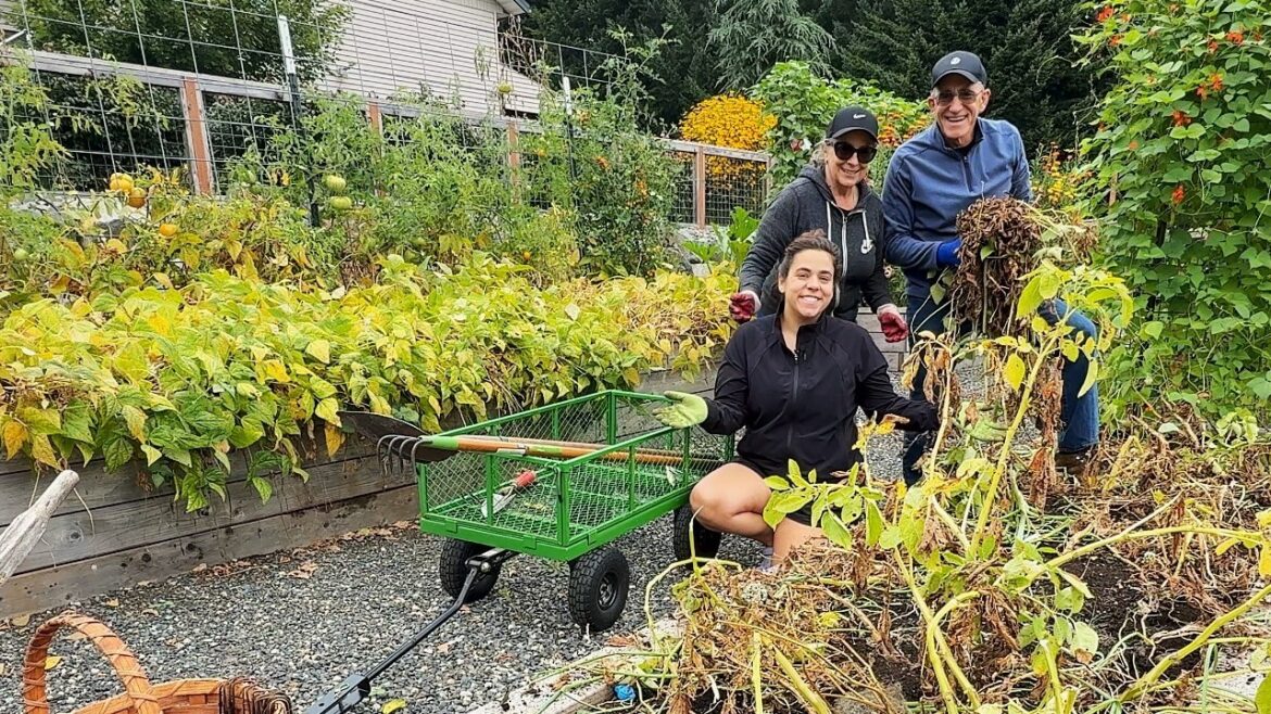 Harvesting a Year’s Worth of Potatoes in My Backyard Garden! Harvesting a Year's Worth of Potatoes in My Backyard Garden!
