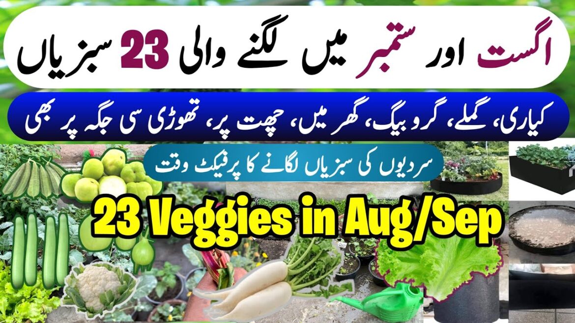 23 August & September Vegetables to Grow at Home | August Aur September Mein Ugne Wali Sabzian