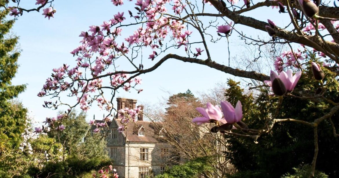 Borde Hill - the historic Sussex estate opening for spring