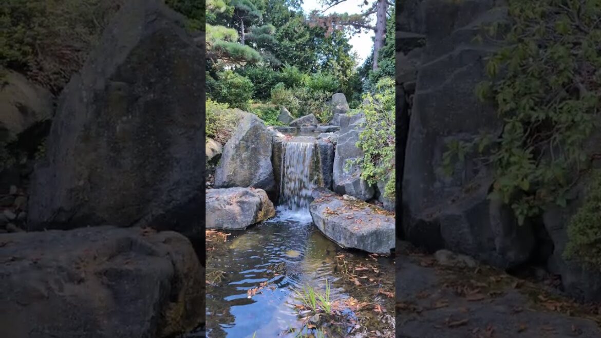 #japanese #garden in Bad Langensalza