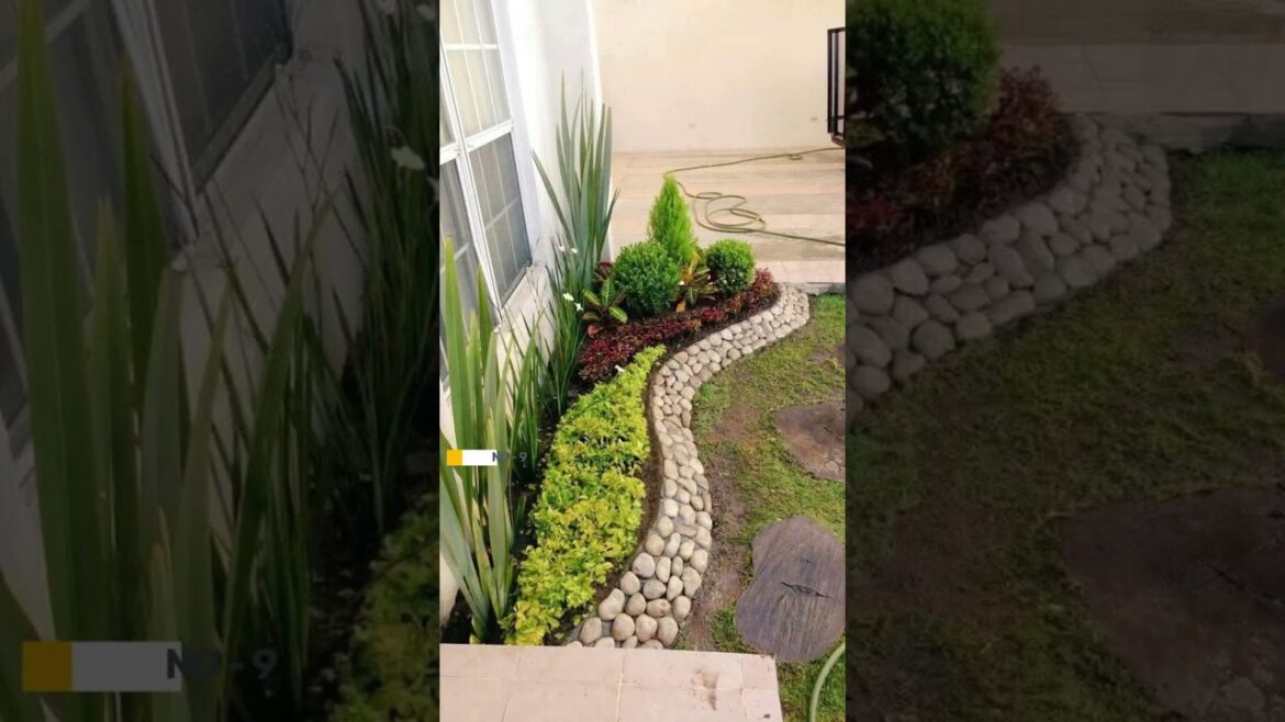 landscaping ideas #garden #landscapingideas #gardendesign #gardenideas@shorts landscaping ideas #garden #landscapingideas #gardendesign #gardenideas@shorts
