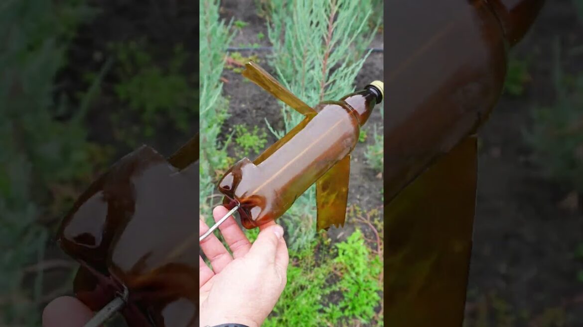 Plastic Bottle Garden Hack: DIY Bird & Mole Repellent! #shorts #diy #skills #tips Plastic Bottle Garden Hack: DIY Bird & Mole Repellent! #shorts #diy #skills #tips