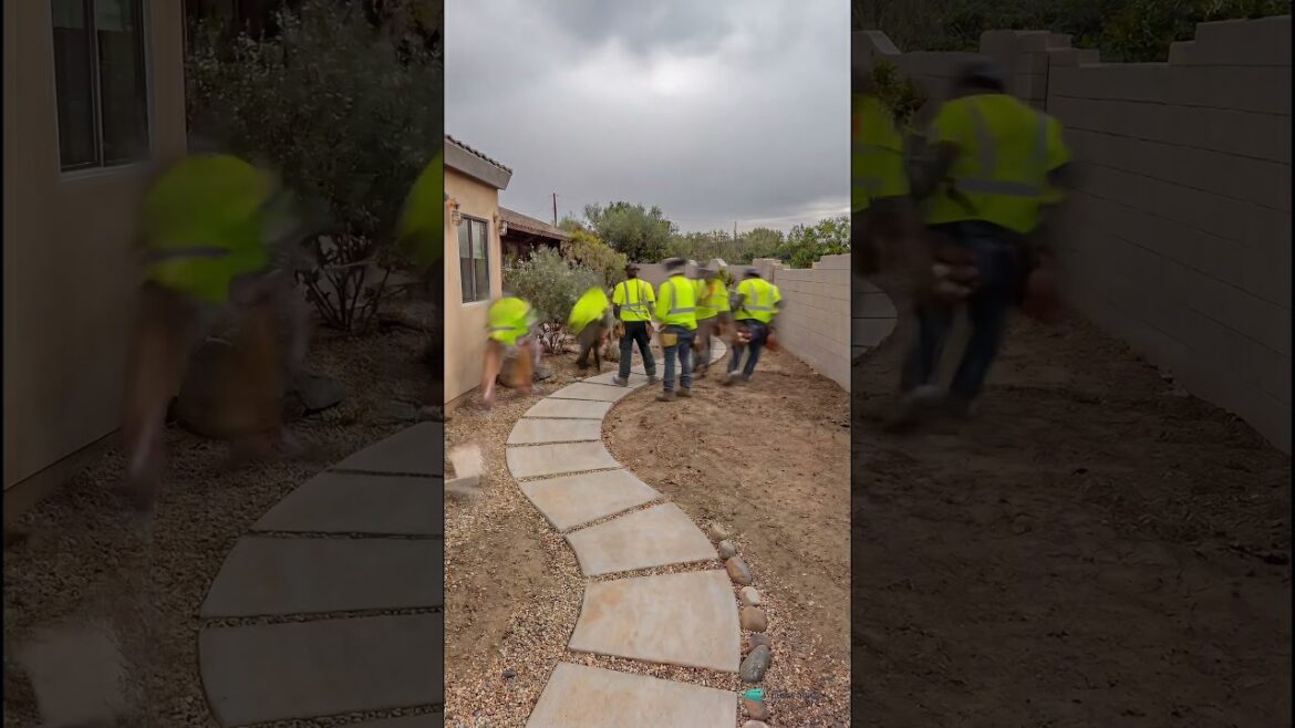 Eurus Studio: A Garden in Quiet Balance  | Timelapse