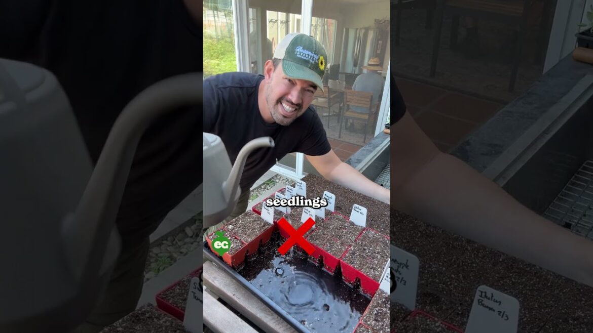 I debunked these seed starting myths…