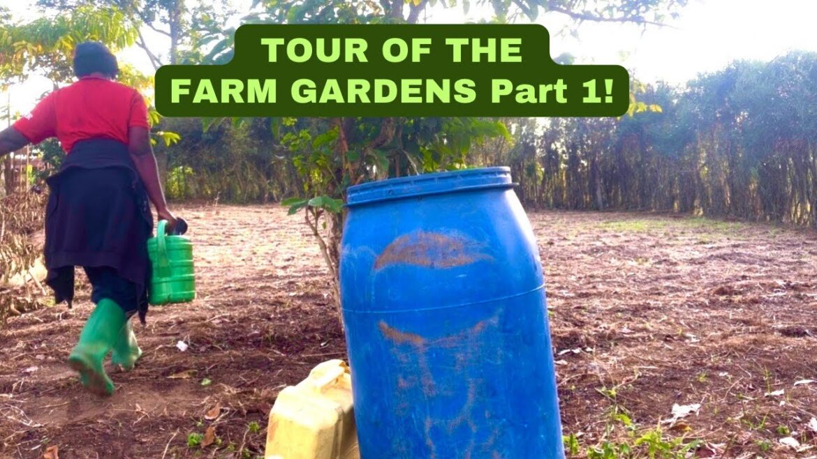 Animal 🐐 Pasture Garden & Eucalyptus 🌳 Forest Plans Animal 🐐 Pasture Garden & Eucalyptus 🌳 Forest Plans