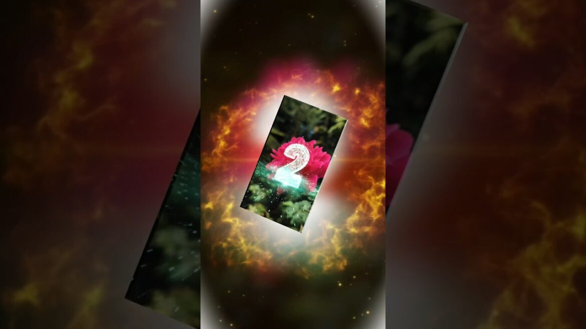 🌱🌹Beautiful Rose Flower#trendingshorts #youtubeshorts #shorts#shortsfeed #garden