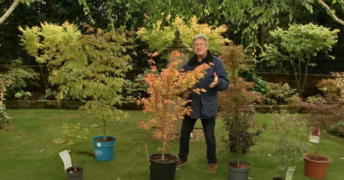 Alan Titchmarsh shares his ‘number 1’ plant that will make any garden look better Daily Mirror