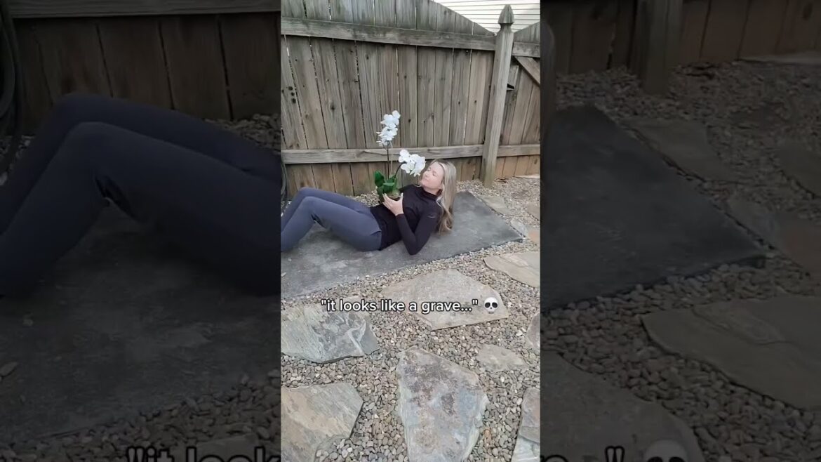 ✨️ From mud pit to cottagecore! Any suggestions on border plants? 🤔 I wasn't sure where the vision