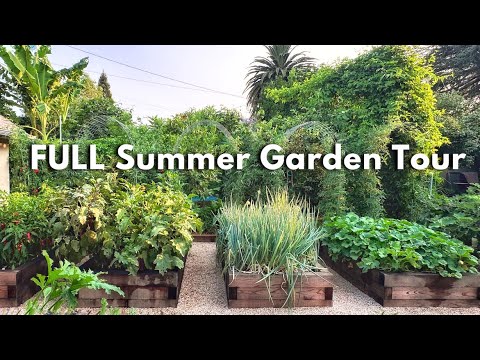 FULL Summer Garden Tour (My First Ever) FULL Summer Garden Tour (My First Ever)