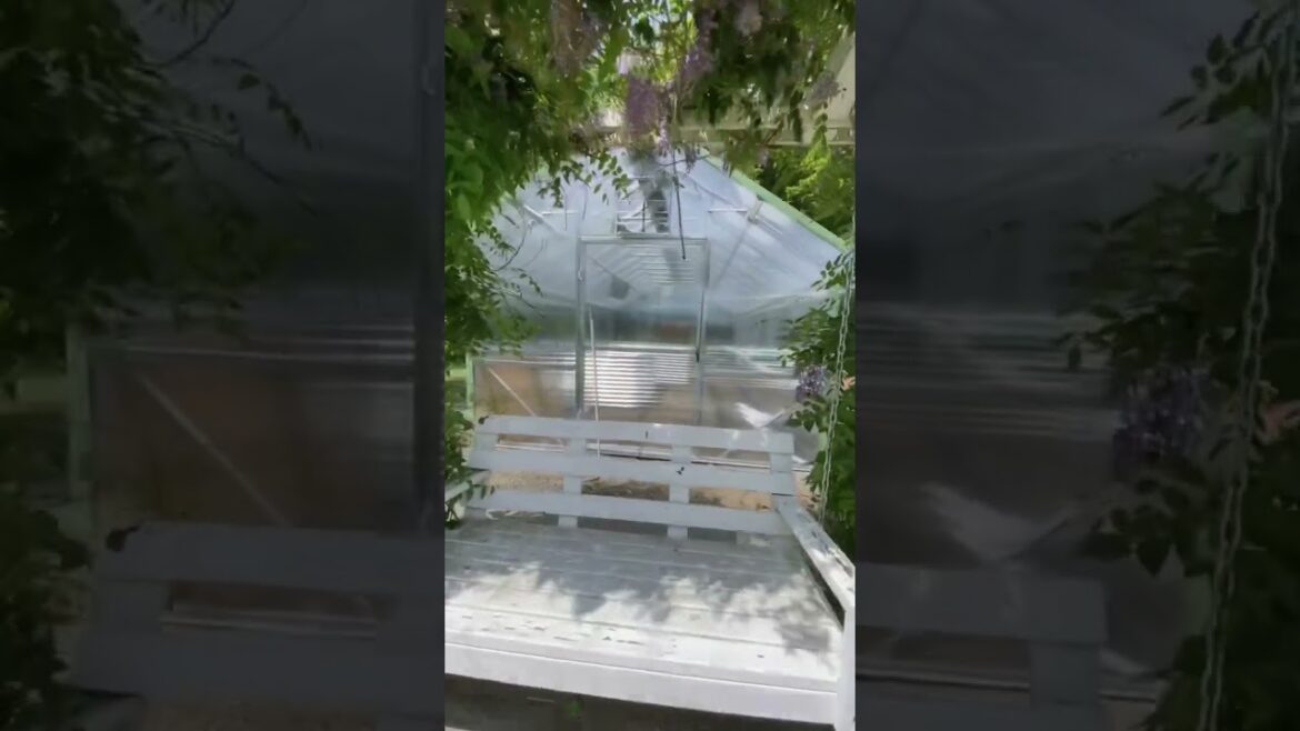 #gardening #mybackyardgarden #garden #greenhouse #plants
