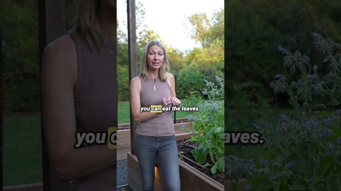 This Flower Tastes Like a Cucumber?!