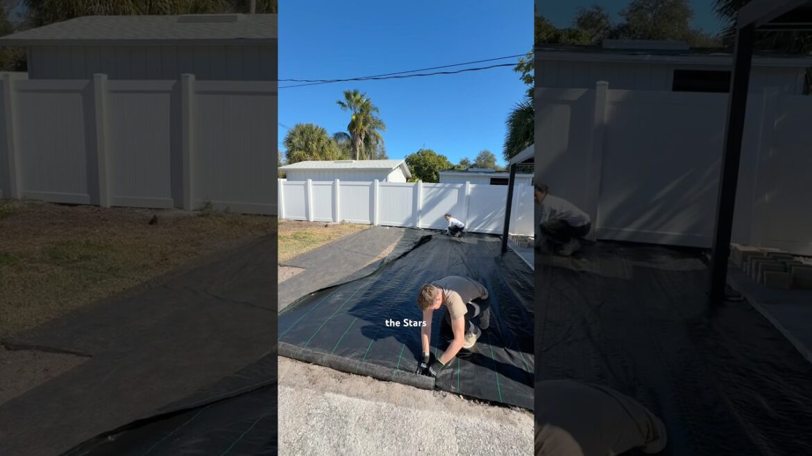 which is worse weeds or a swamp in our backyard? #landscapedesign #homemakeover #yardwork