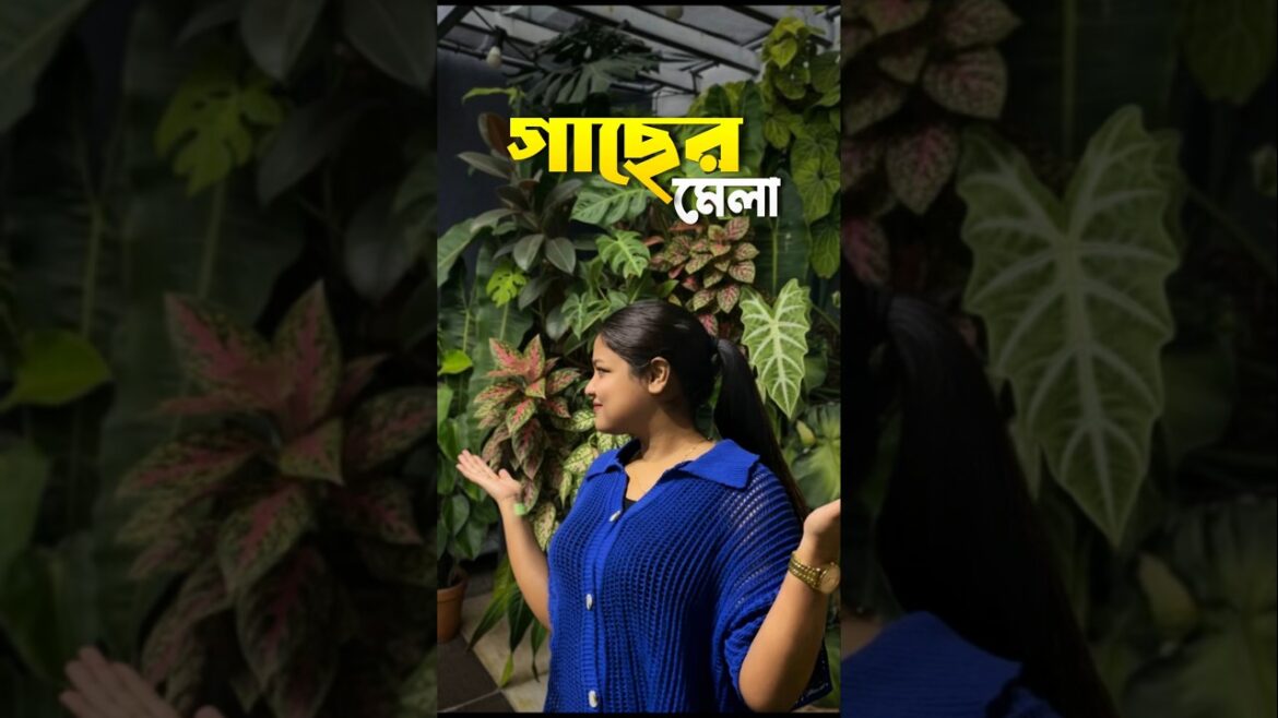 কখনো শুনেছ গাছেরও আবার মেলা বসে? 😰🥬 #shorts #minivlog #bengali #lifestyle #gardening