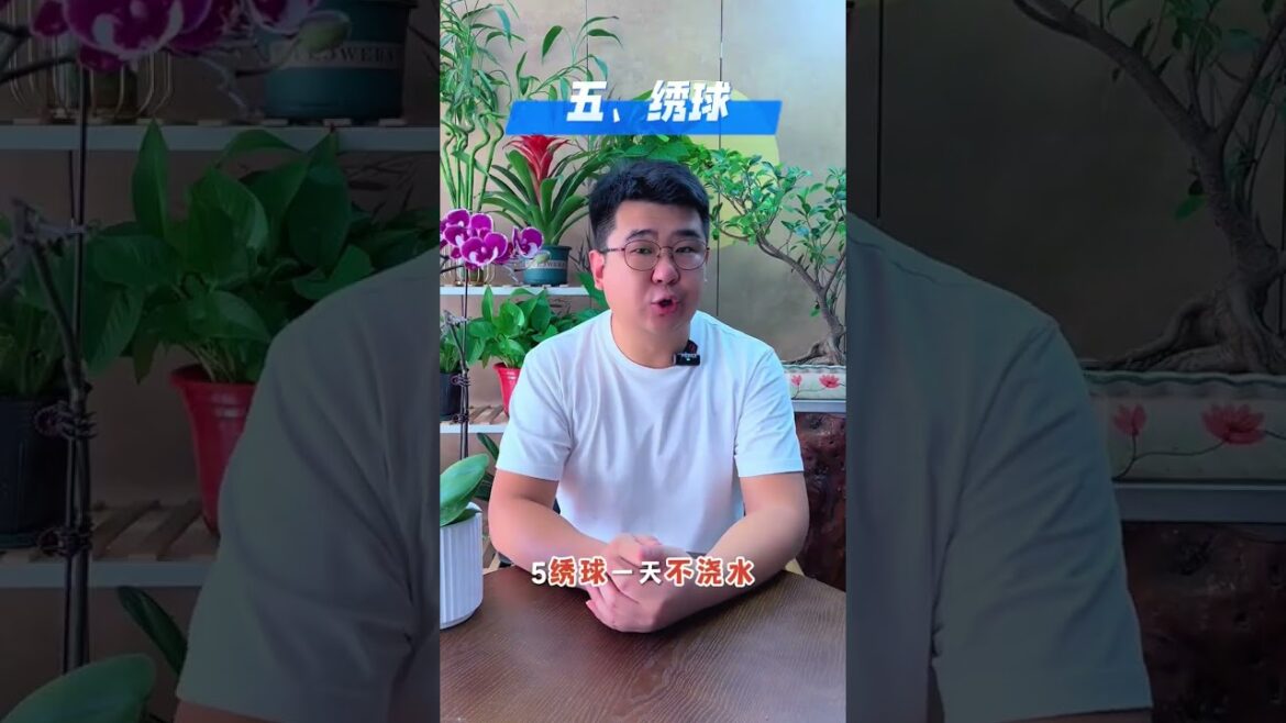 Avoid These 8 Flowers for Beginner Gardeners – Expert Tips