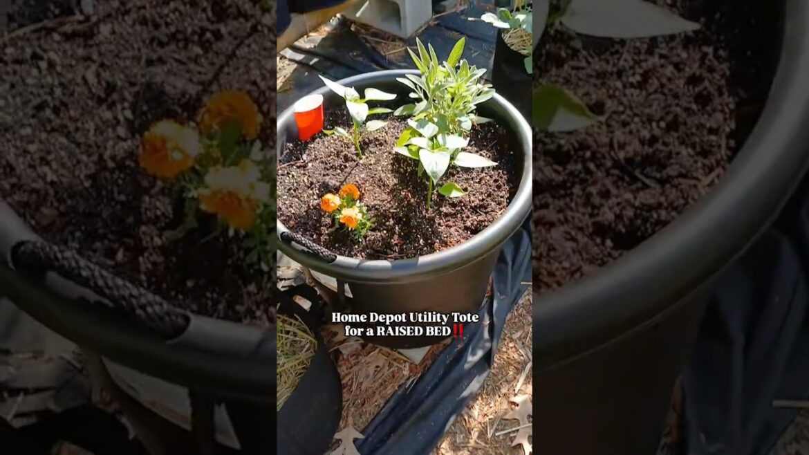 Utility Tote Raised Bed Garden‼️ | Small Space Gardening | Container Garden