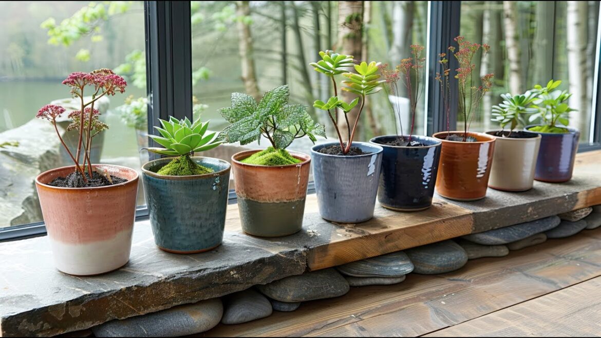 Farmhouse Backyard Garden Inspiration Using Recycled Items Farmhouse Backyard Garden Inspiration Using Recycled Items