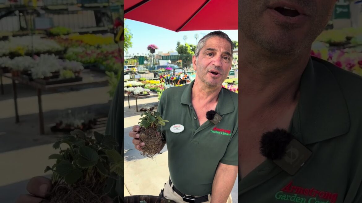 Don’t Miss These 4 February Garden Jobs Don’t Miss These 4 February Garden Jobs