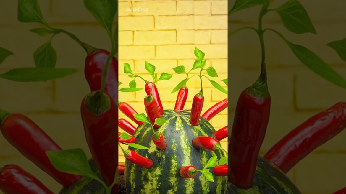 Simple Gardening Hacks to Transform Your Home Garden | #gardening #hacks #5minutecrafts #shorts