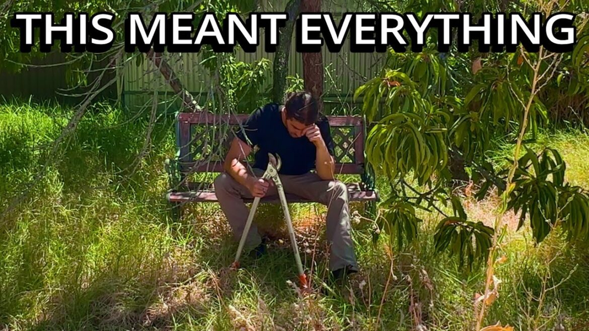 I Gave An Elderly Homeowner His Dream Yard Back