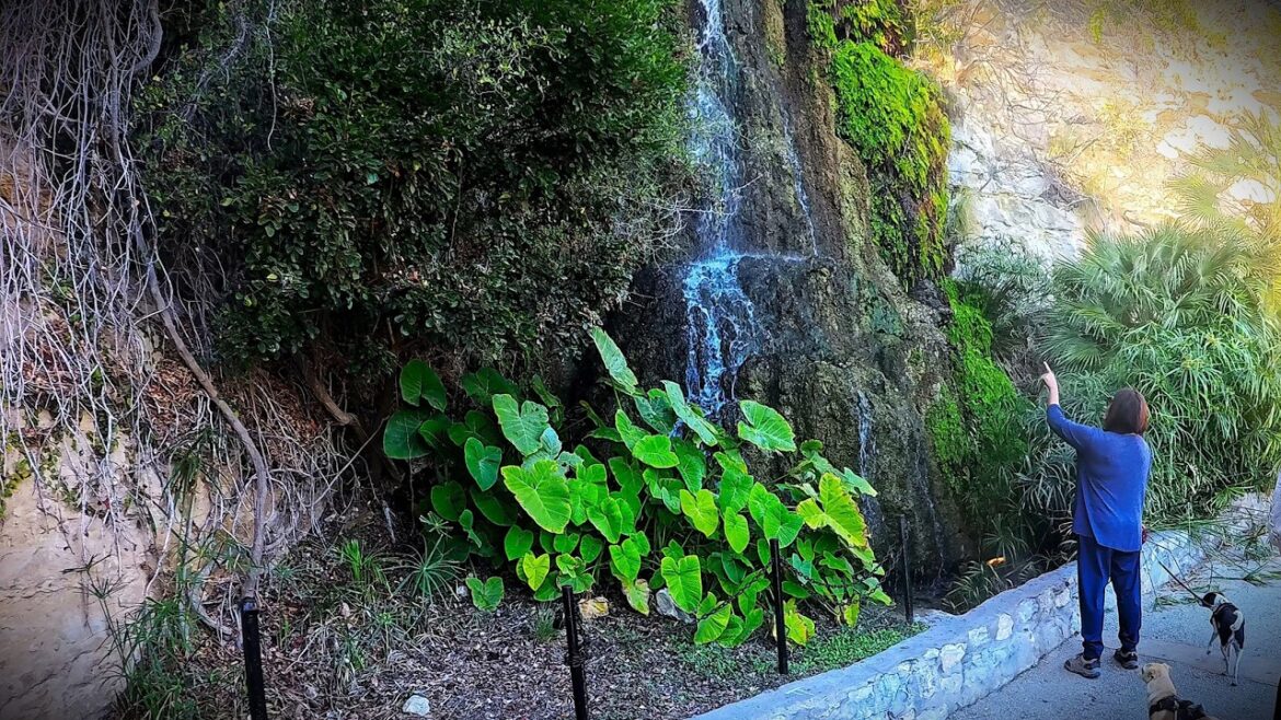 Best Garden Ever!! Old limestone rock quarry turned into a Sunken Chinese Tea Garden Best Garden Ever!! Old limestone rock quarry turned into a Sunken Chinese Tea Garden