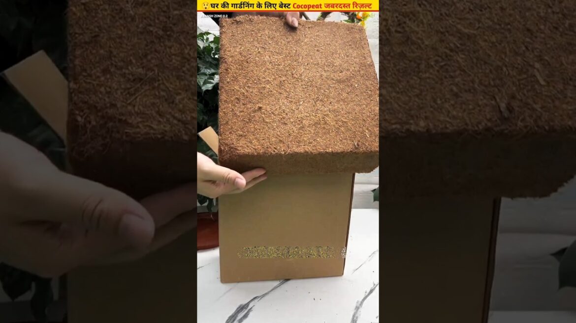 😲Best Cocopeat for Flowers Vegetables and Fruit Plants #ytshorts #garden #plants