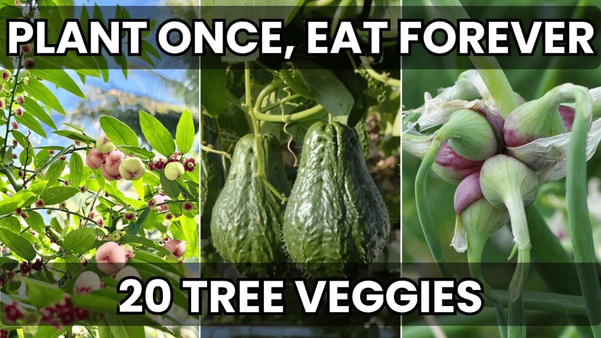 20 Tree-Like Vegetables That Feed You for Years After One Planting