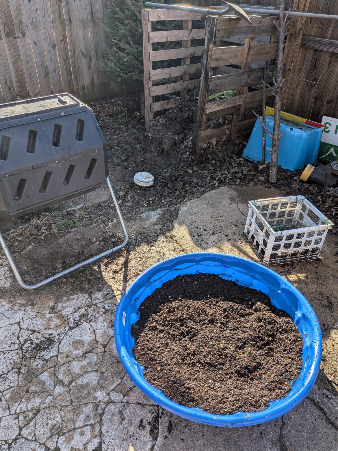 Sifted about 8 gallons yesterday