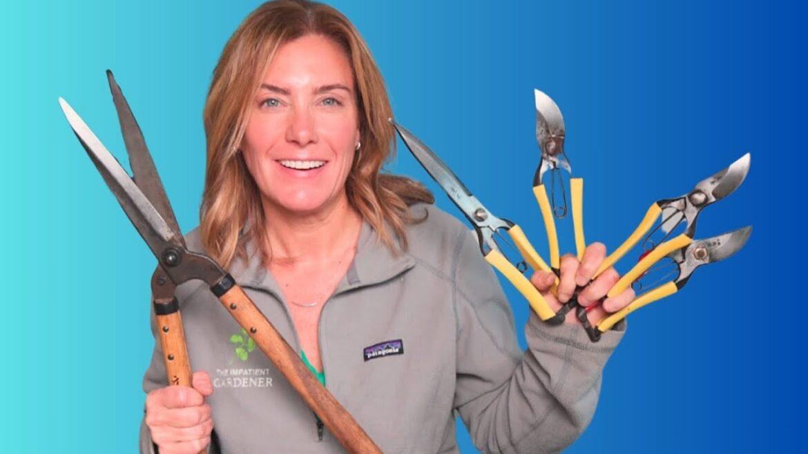 Garden tool care || Clean and sharpen those blades!