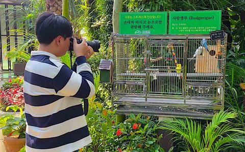 Geoje Botanical Garden in Korea expands Jungle Dome exhibits with parrot display Geoje Botanical Garden in Korea expands Jungle Dome exhibits with parrot display