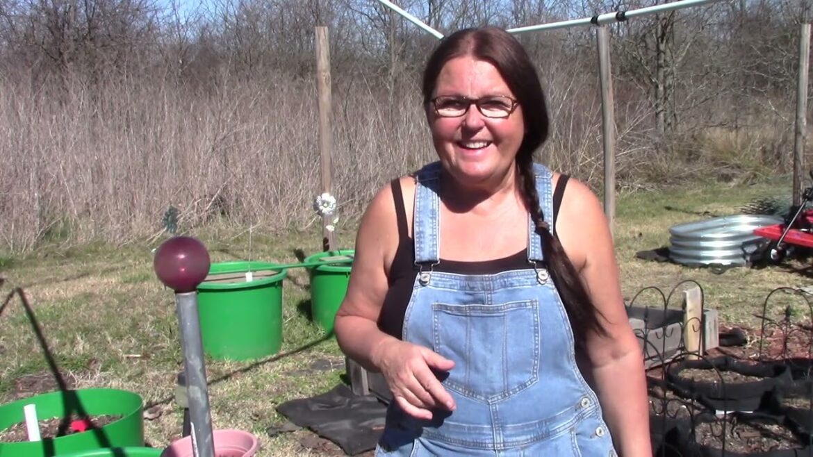 Our Property #787 Plan A and Plan B Building a Garden bed