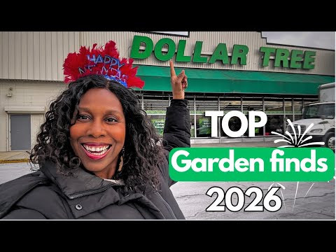 Top 10 Dollar Tree Gardening Supplies for 2026!๐ชดโ๏ธ Top 10 Dollar Tree Gardening Supplies for 2026!๐ชดโ๏ธ