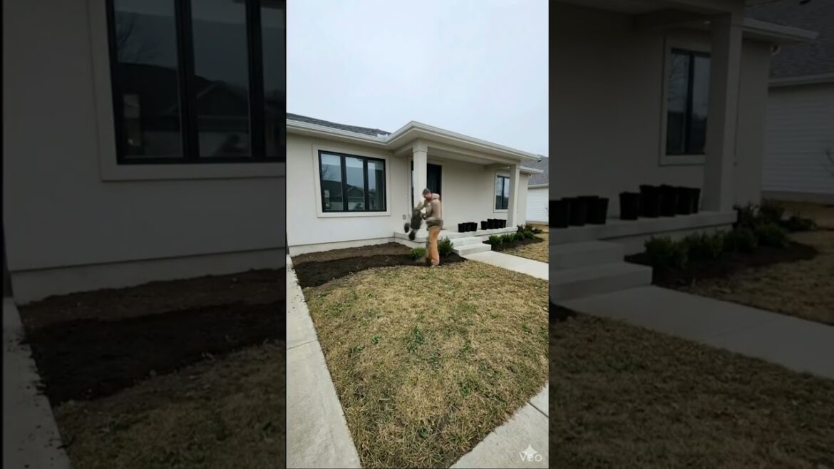 Gardenovation: Modern Front Yard Makeover Before & After | Winter Leaf Cleanup #shorts