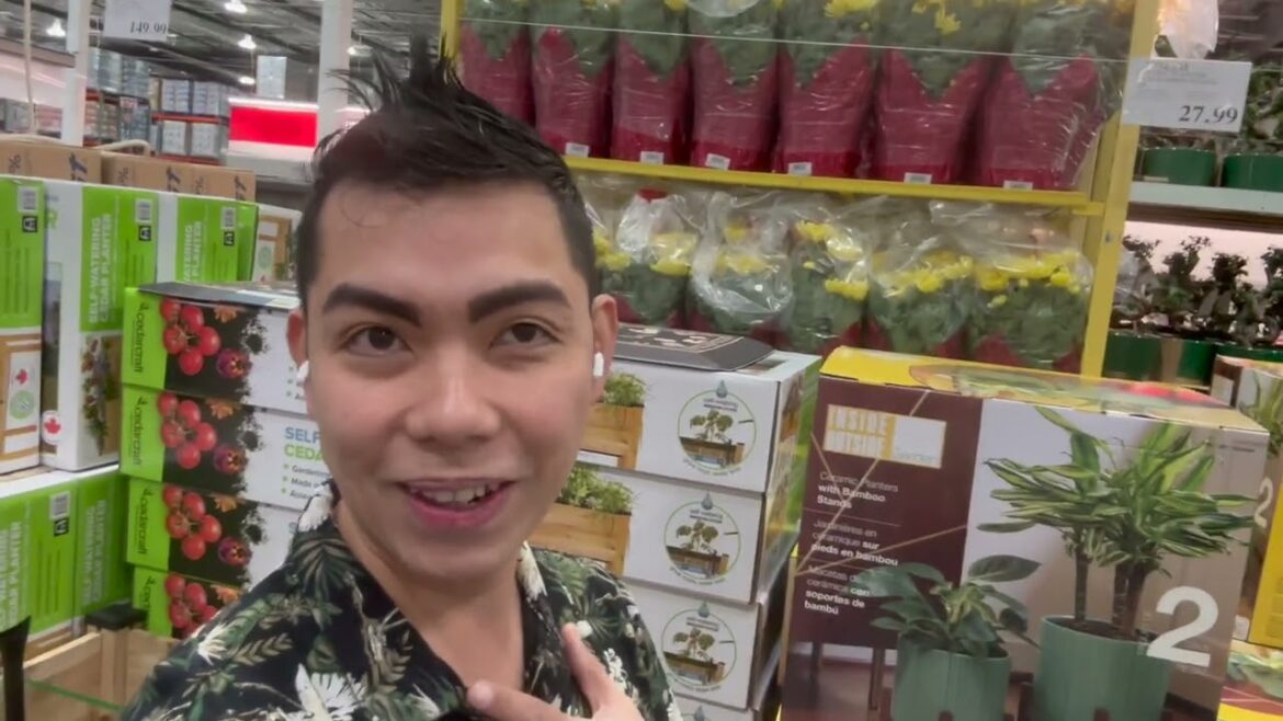 Shopping for New Houseplants at 2 Big Box Stores at the Beginning of the New Year 2026 Costco Finds Shopping for New Houseplants at 2 Big Box Stores at the Beginning of the New Year 2026 Costco Finds