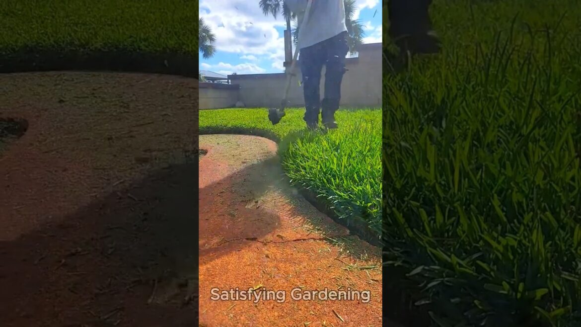 Satisfying Gardening Work 🌳 #garden #cleaning #grass #lawn #viral #fyp