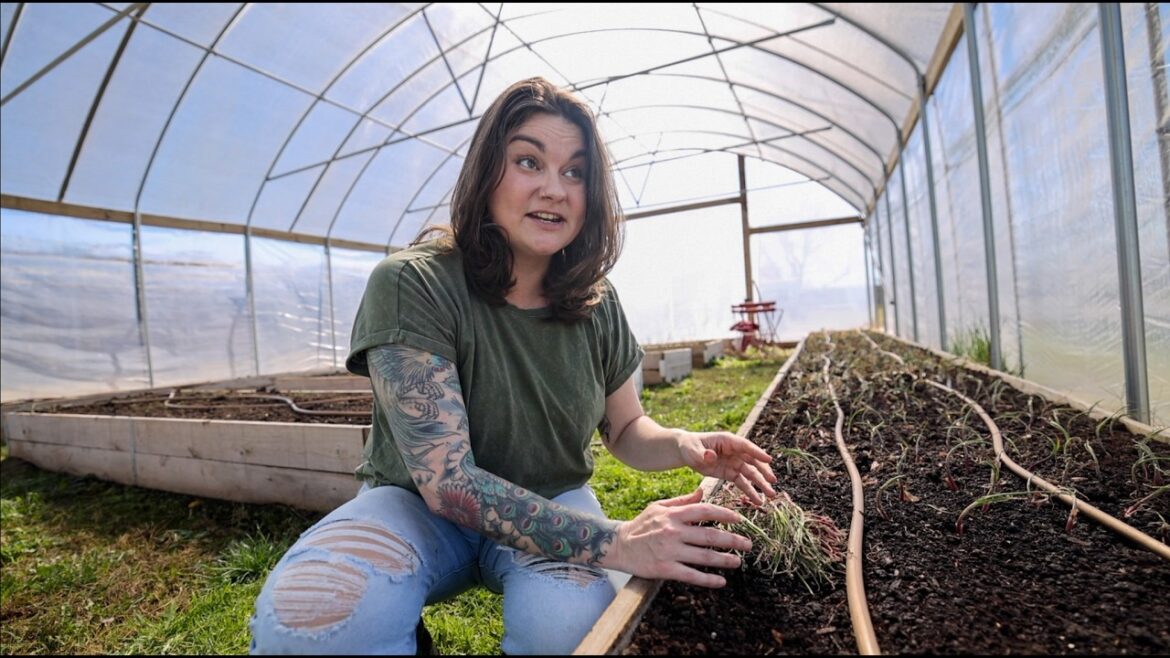 Roots and Refuge Farm: Response Vs. Reaction (a very honest talk) Response Vs. Reaction (a very honest talk)