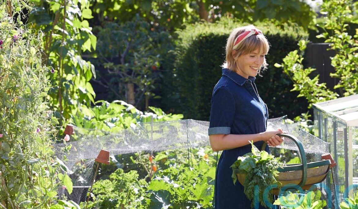 The best gardening jobs to boost wellbeing in spring The best gardening jobs to boost wellbeing in spring