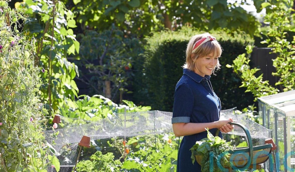 The best gardening jobs to boost wellbeing in spring The best gardening jobs to boost wellbeing in spring